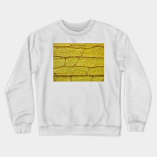 Withered orchid leaf under the microscope Crewneck Sweatshirt
